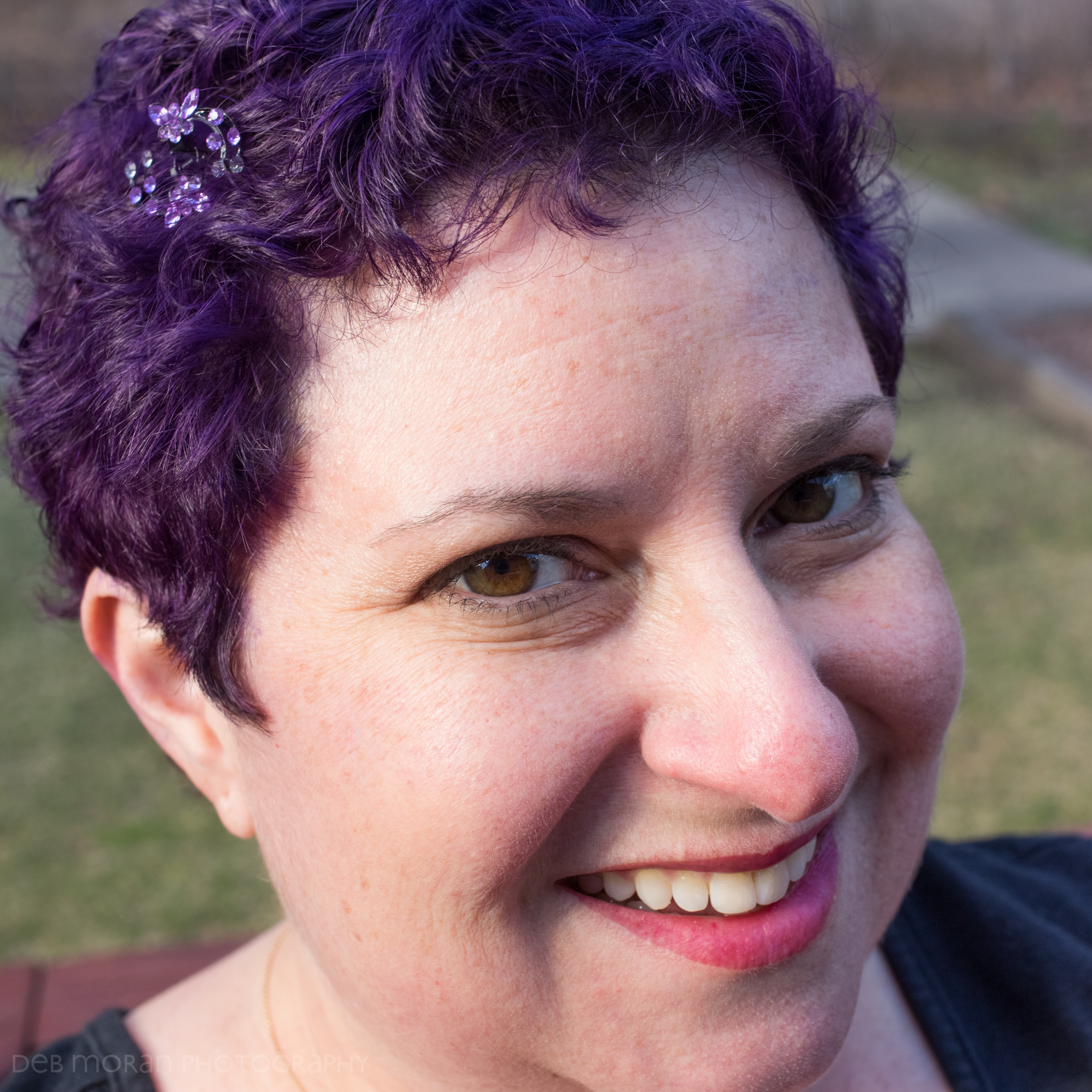 The Ptale of the Purple Pixie