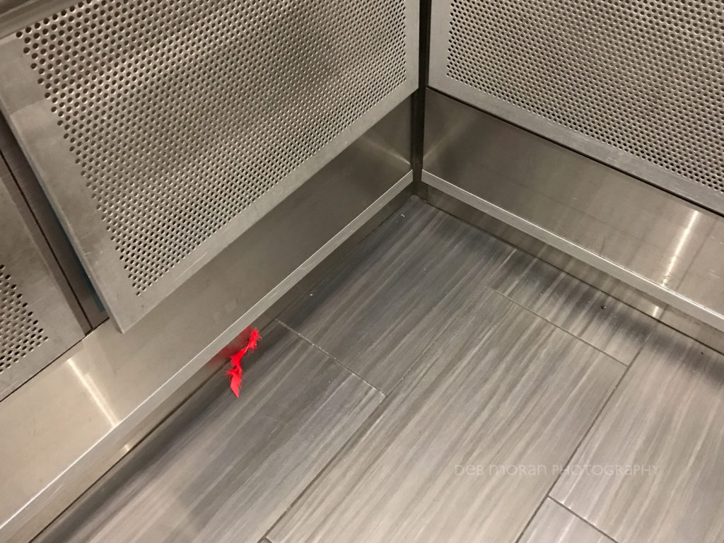 When I got in the elevator, I could not miss this bright red feather. I can't help but wonder where it came from and the story behind it.