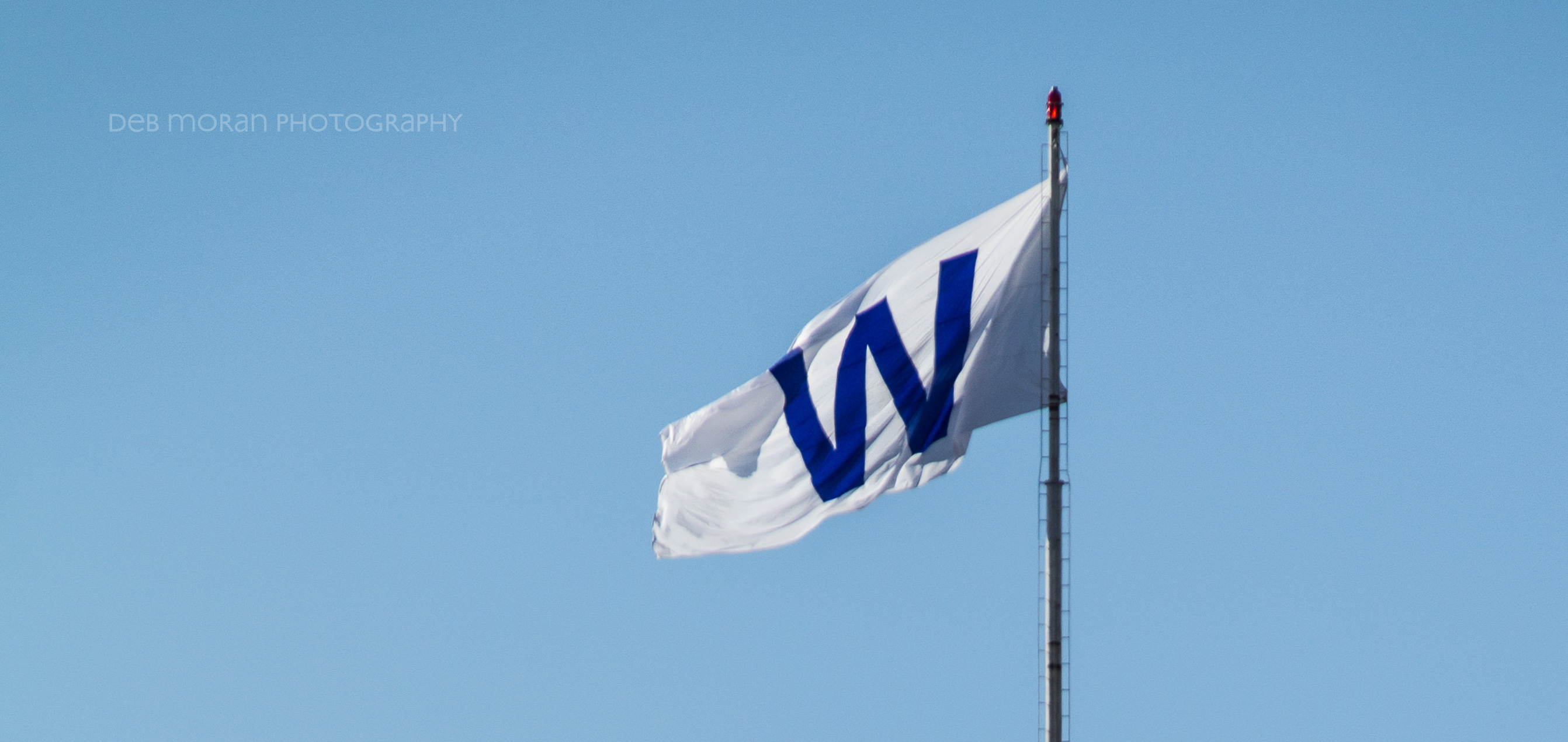 Cubs Win! Cubs Win!!! CUBS WIN!!!!!!!!
