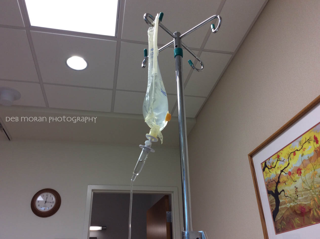Fire-Free – July 14, 2015