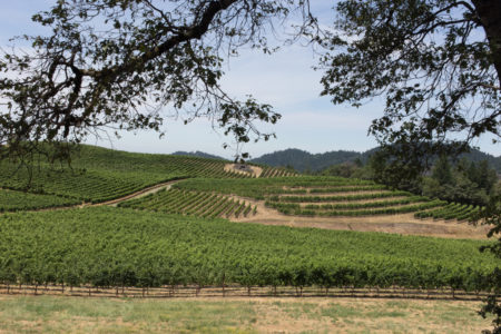 Grapevines and Switchbacks and Mountains, Oh My! – Wineventure Day 2 of 4