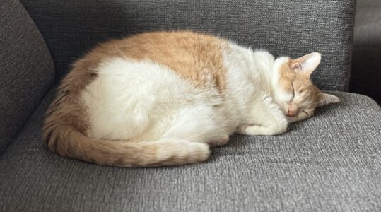 Post-op Day 2 – Thursday April 18th