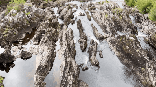 Moranfest 2024 Part 3.2 – More Shenanigans In and Around Westcove